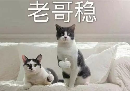 高效學(xué)習(xí)神器：千呼萬(wàn)喚的Anki教程！插圖