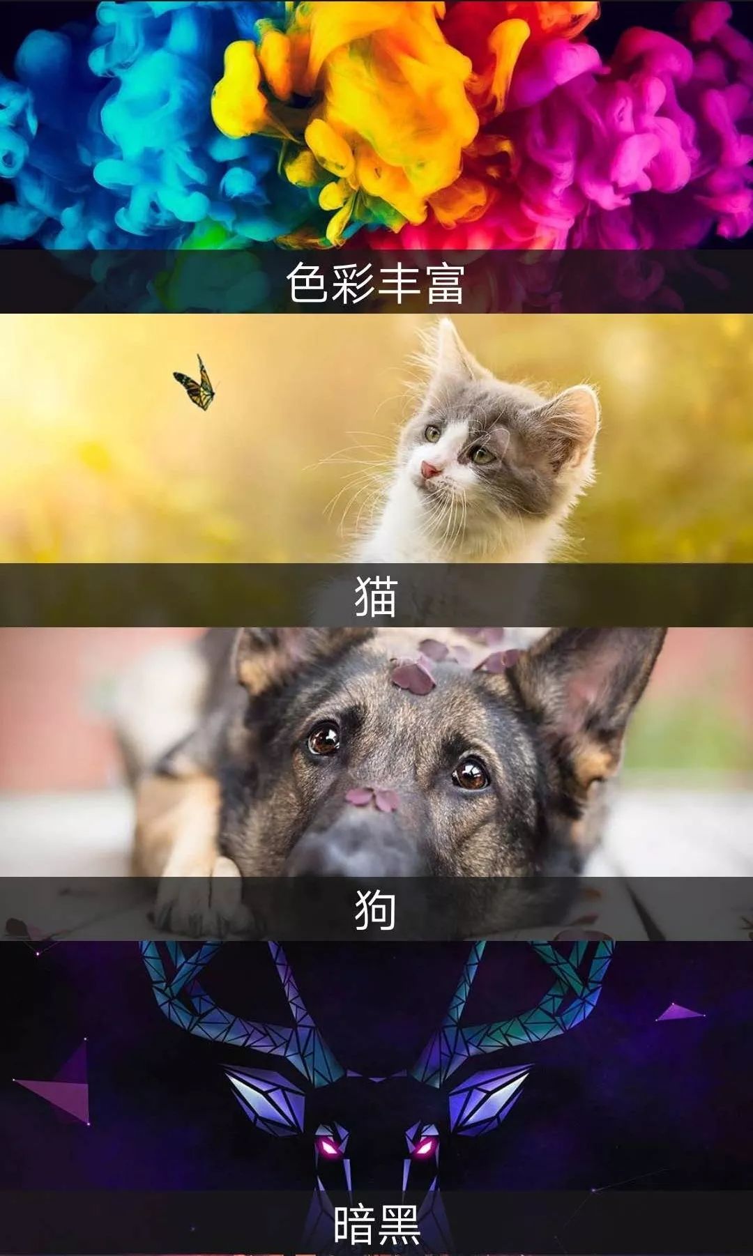 這個App竟然解鎖了18+VIP，請低調(diào)使用！插圖4