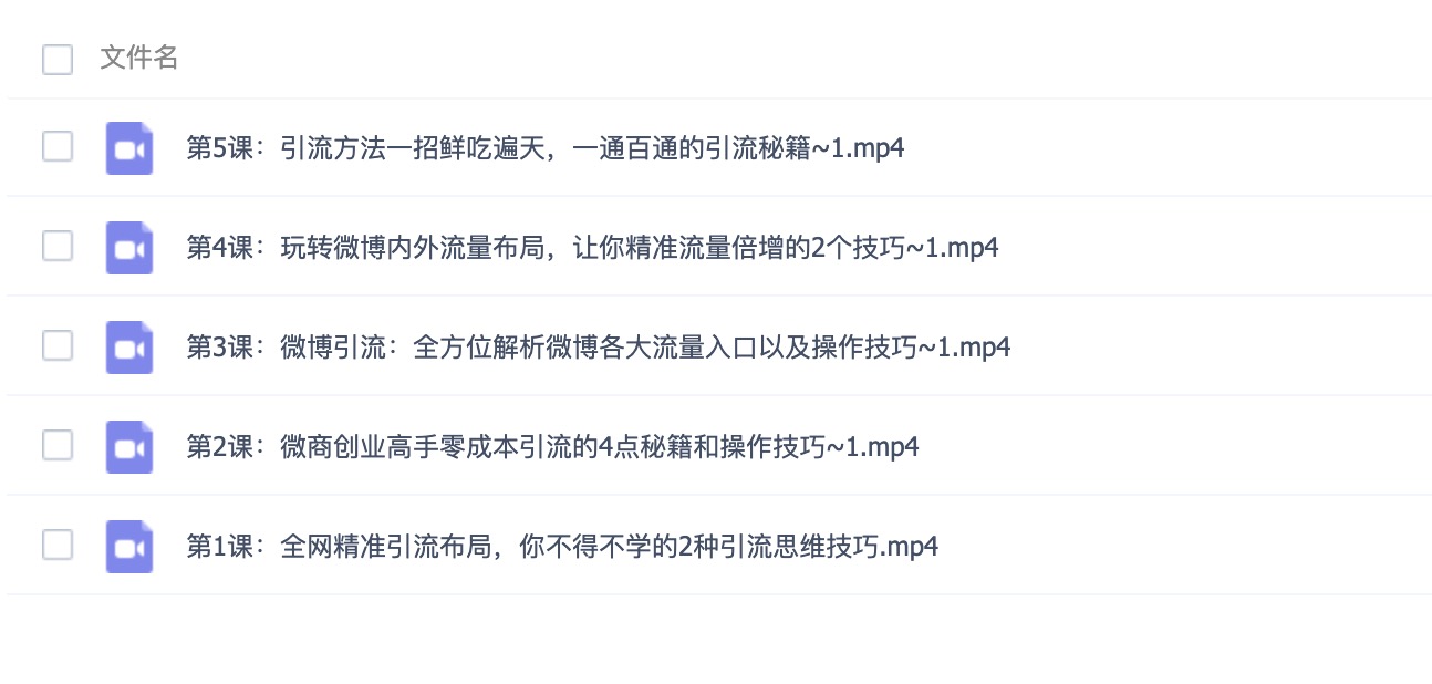 高手零成本引流秘籍和操作技巧，讓你精準(zhǔn)流量倍增 百度網(wǎng)盤插圖1