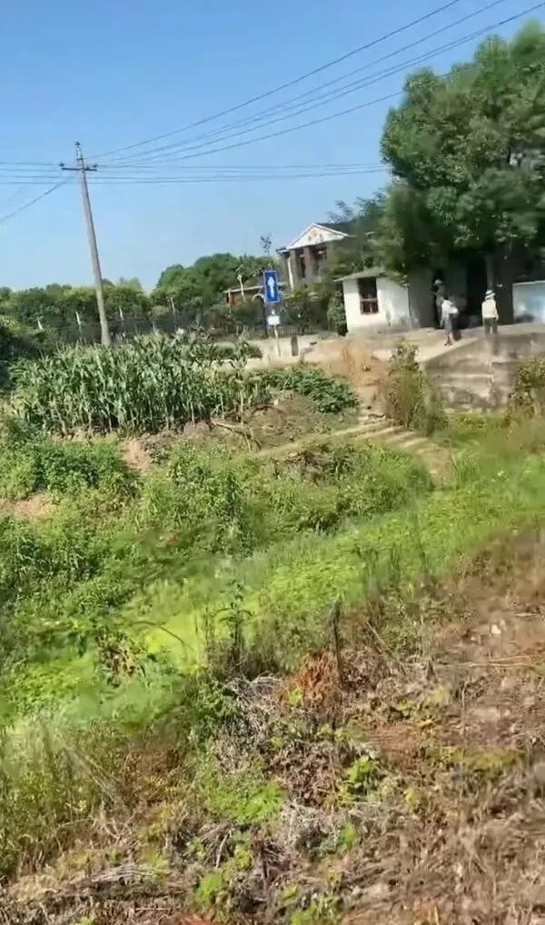 請問這是同一個(gè)人嗎？插圖31