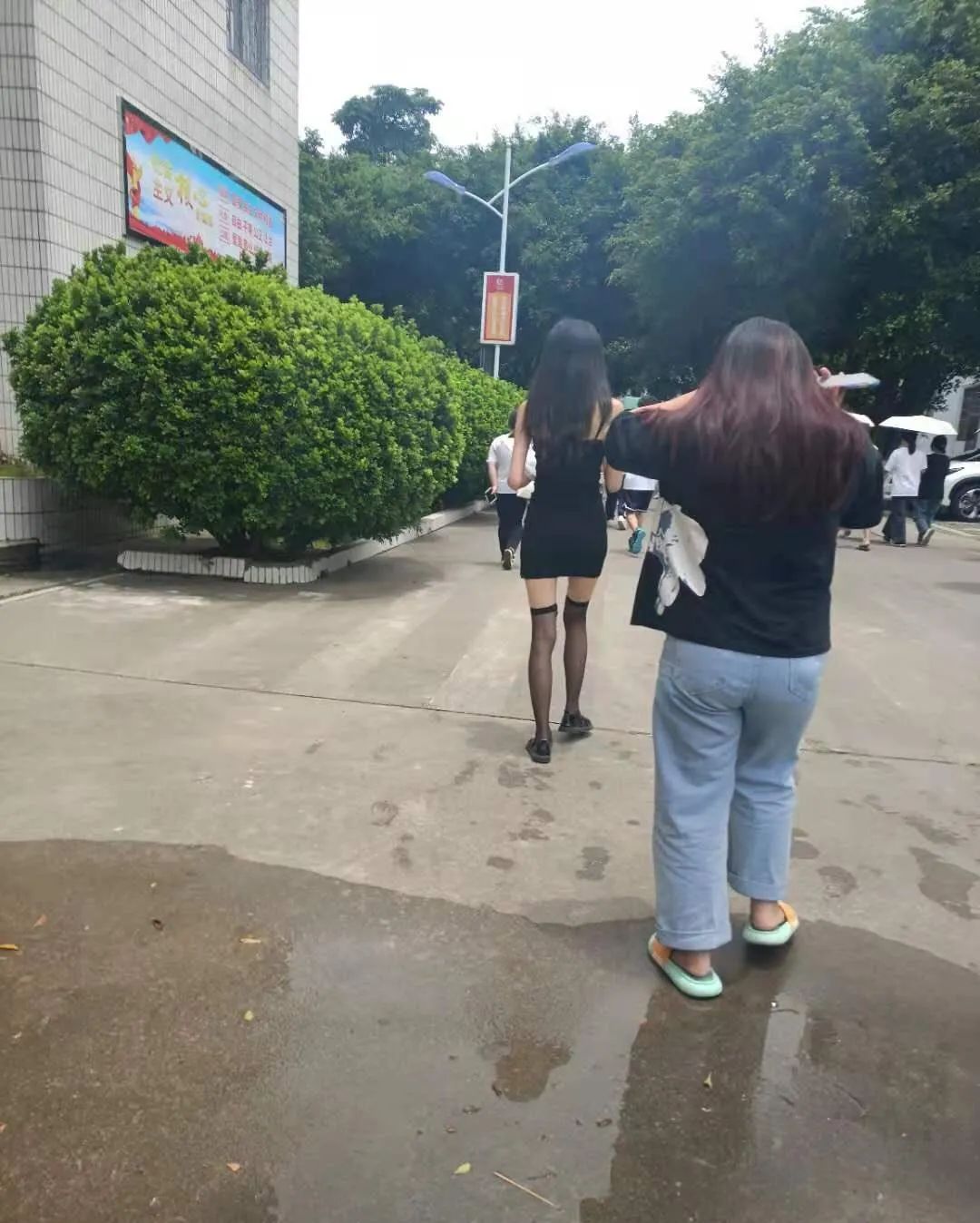 這么多老師有你認識的？插圖7
