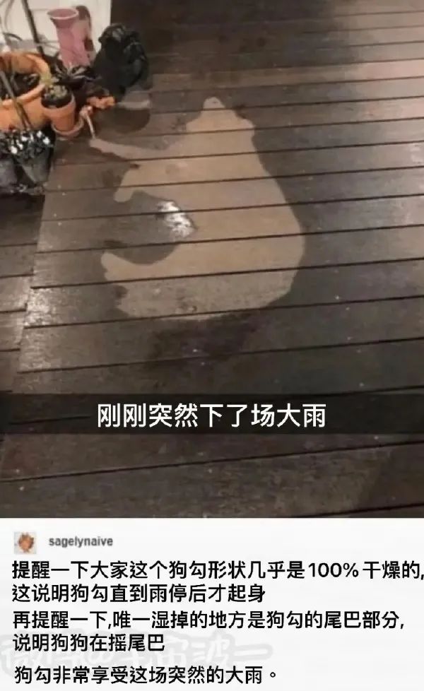 這口罩也太可愛了點(diǎn)吧！插圖22