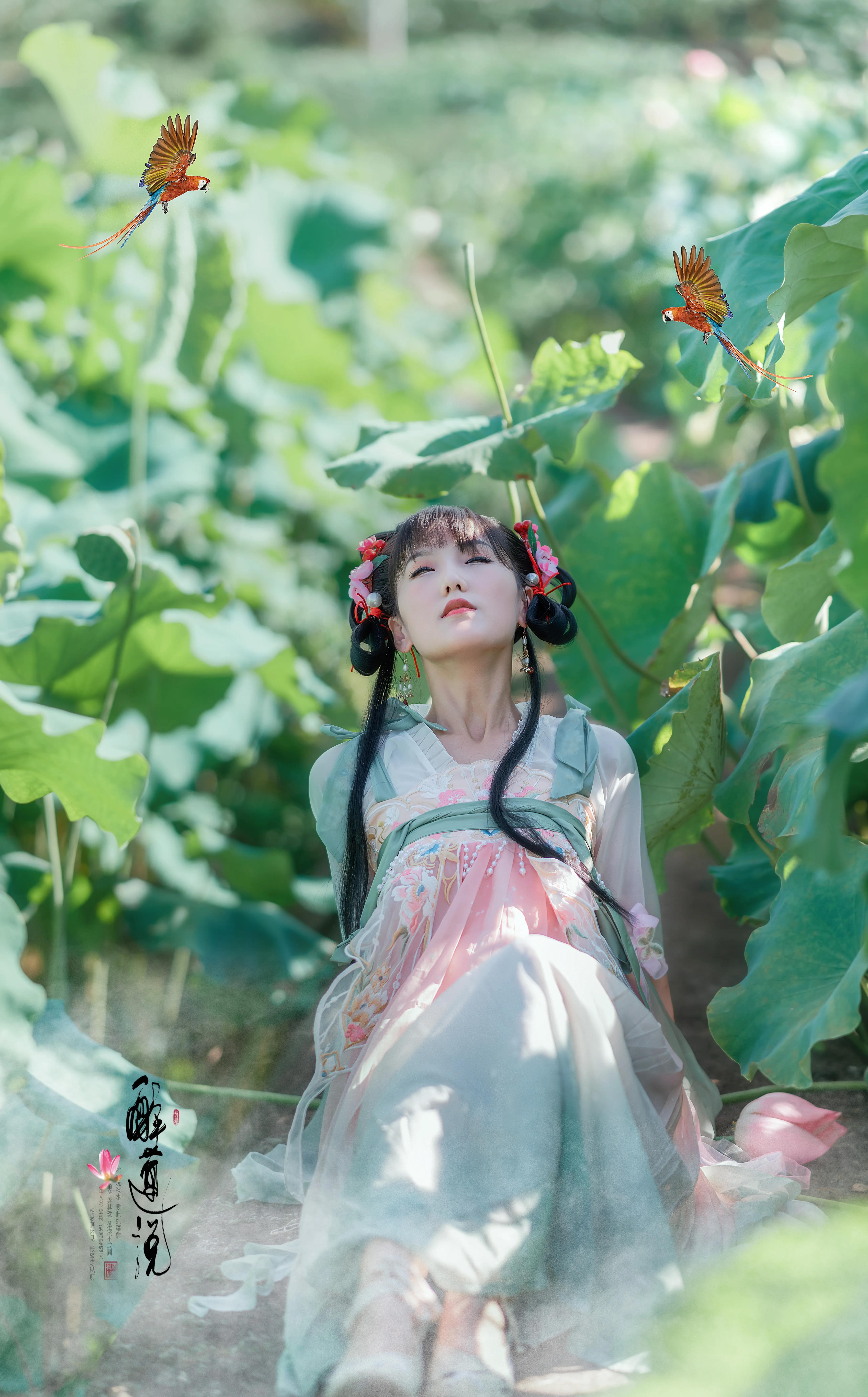 心醉迷，夢醉迷。葉鋪池，花開池。插圖7