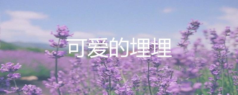 虎牙二次元聲控助眠主播可愛的埋埋人氣為什么這么高？插圖