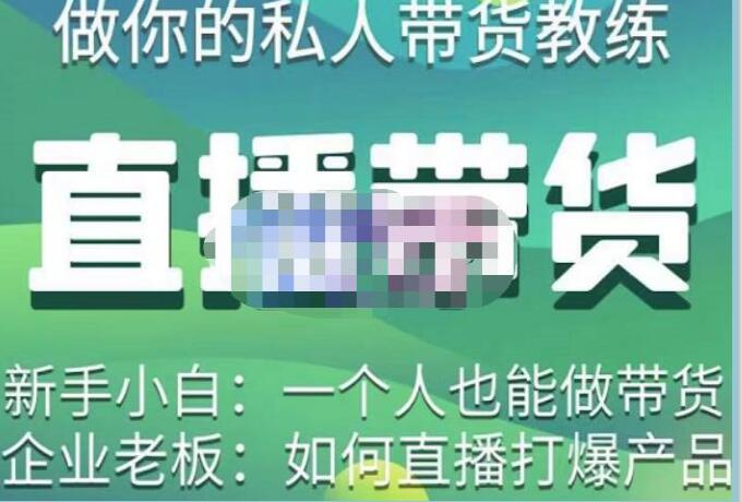 硬核傳媒?直播帶貨（私人教練），實操實戰(zhàn)教學百度網(wǎng)盤插圖