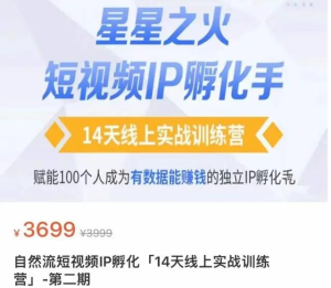 瑤瑤?自然流短視頻IP孵化第二期，成為有數(shù)據(jù)能賺錢的獨(dú)立IP孵化手百度網(wǎng)盤插圖