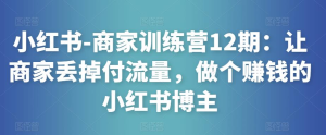 小紅書(shū)-商家訓(xùn)練營(yíng)12期：讓商家丟掉付流量，做賺錢(qián)小紅書(shū)博主百度網(wǎng)盤(pán)插圖