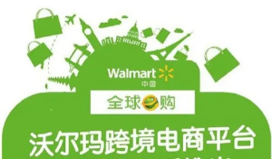 跨境電商沃爾瑪平臺-從0基礎到入門，沃爾瑪跨境紅利新玩法百度網(wǎng)盤插圖