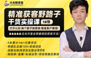 楊光?精準獲客野路子，黑科技快速獲取精準客戶百度網(wǎng)盤插圖