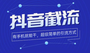 日引300＋創(chuàng)業(yè)粉，獨(dú)家抖音高效截流2.0玩法（價(jià)值1280）百度網(wǎng)盤插圖