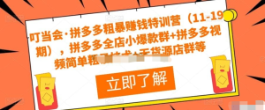 叮當(dāng)會(huì)?拼多多粗暴賺錢(qián)特訓(xùn)營(yíng)（11-19期），拼多多爆款群+拼多多視頻技術(shù)+無(wú)貨源店群插圖