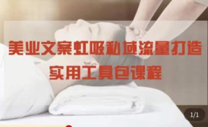 美業(yè)文案私域流量打造實(shí)用教程：私域流量打造和營(yíng)銷百度網(wǎng)盤插圖