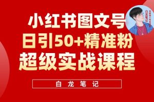 小紅書圖文號日引50+精準流量，新手小白實戰(zhàn)的小紅書引流課百度網(wǎng)盤插圖
