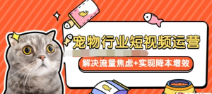 寵物/行業(yè)短視頻運(yùn)營(yíng)流量增長(zhǎng)，解決流量焦慮+實(shí)現(xiàn)降本增效百度網(wǎng)盤(pán)插圖