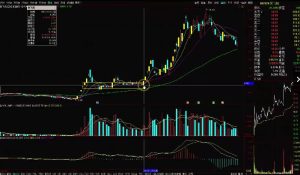 【淘股吧】《主升龍頭真經(jīng)玩轉(zhuǎn)主升浪系列123 PDF文章+視頻》百度網(wǎng)盤(pán)插圖 【淘股吧】《主升龍頭真經(jīng)玩轉(zhuǎn)主升浪系列123 PDF文章+視頻》百度網(wǎng)盤(pán)插圖