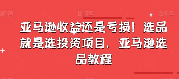 亞馬遜收益還是虧損！選品就是選投資項目，亞馬遜選品教程插圖