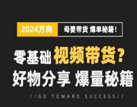 短視頻母嬰賽道實操流量訓練營，零基礎視頻帶貨，好物分享，爆量秘籍插圖