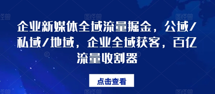 企業(yè)新媒體全域流量掘金，公域/私域/地域，企業(yè)全域獲客，百億流量收割器插圖