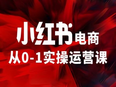 小紅書電商從0-1實(shí)操運(yùn)營課，讓你從小白到精英插圖